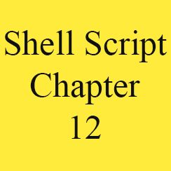 Shell Script Chapter 12: Shell Script Tips on debugging shell script