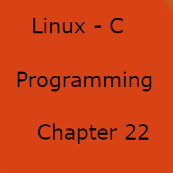 Linux System Programming:  POSIX Shared Memory