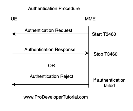 LTE NAS: Authentication procedure