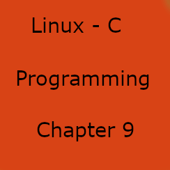 Linux System Programming: Process creation using exec family functions